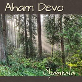 Album cover of Aham Devo