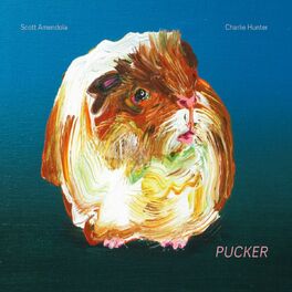 Album cover of Pucker (Bonus Version)
