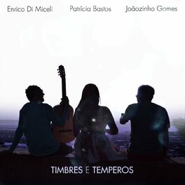 Album cover of Timbres e Temperos