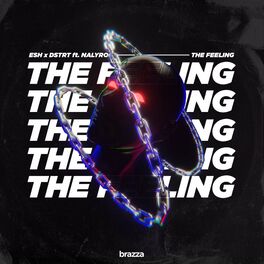 Album cover of The Feeling (feat. NALYRO)