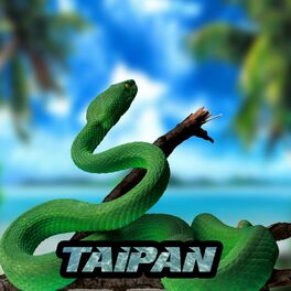 Album cover of Taipan (feat. ZetaOnTheMic & Burn)