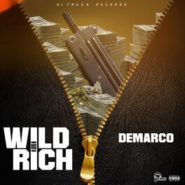 Album picture of Wild and Rich