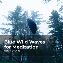 Album cover of Blue Wild Waves for Meditation