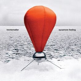Album cover of Sycamore Feeling