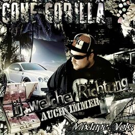 Album cover of In welche Richtung auch immer - Mixtape, Vol. 3