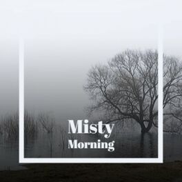 Album cover of Misty Morning