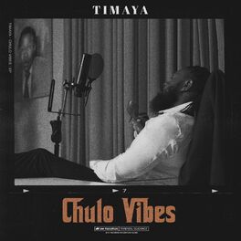 Album cover of Chulo Vibes