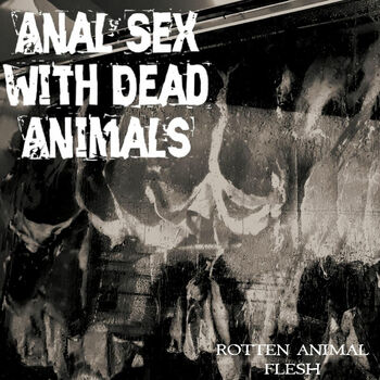 Animals sex mit Animal Sex