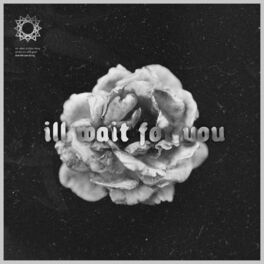Album cover of i'll wait for you (unplugged)