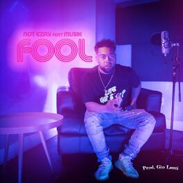 Album cover of Fool (feat. Musik)
