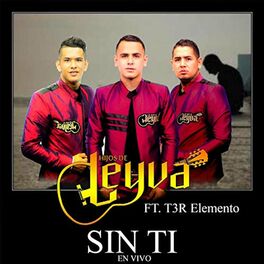 Album cover of Sin Ti (En Vivo)