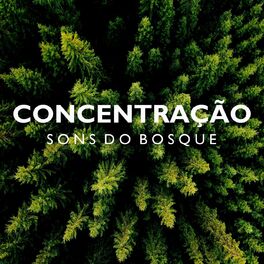 Album cover of Concentração: Sons do Bosque
