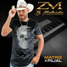 Album cover of Matriz e Filial
