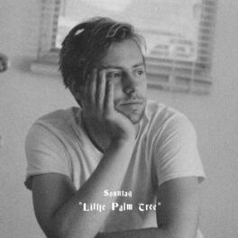 Album cover of Little Palm Tree