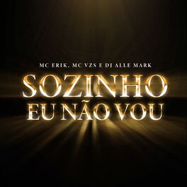 Album cover of Sozinho Eu Não Vou