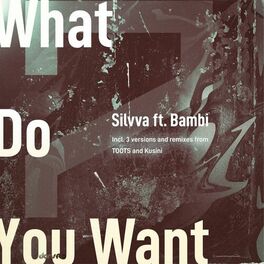Album cover of What Do You Want EP including Three Versions