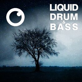 Album picture of Liquid Drum & Bass Sessions #60