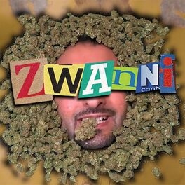 Album cover of Zwanni