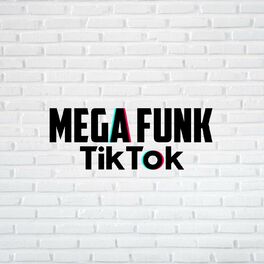 Album cover of SET MEGA FUNK ESPECIAL TIKTOK