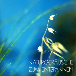 Album cover of Naturgeräusche zum Entspannen - Musik zur Entspannung und Meditation mit Klänge der Natur als Einschlafhilfe