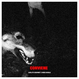 Album cover of CONVIENE