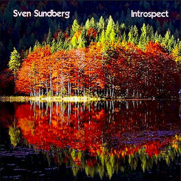 Album cover of Introspect
