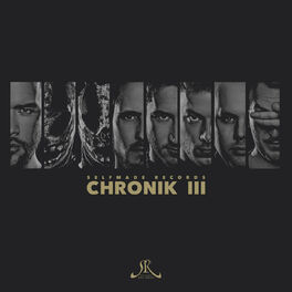 Album cover of Chronik III