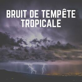 Album cover of Bruit de Tempête Tropicale