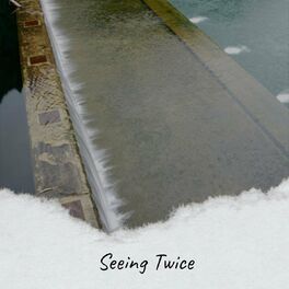 Album cover of Seeing Twice