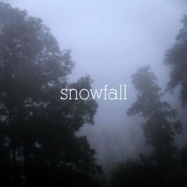Album cover of snowfall (feat. HeadHunter)