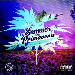 Album cover of Summer In The Primavera