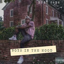 Album cover of Boys in the Hood
