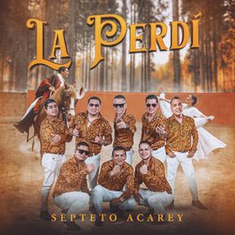 Album cover of La Perdí