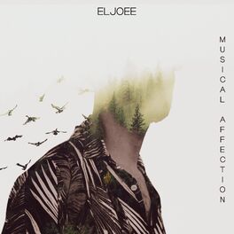 Album cover of Musical Affection