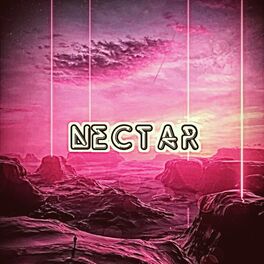Album cover of Nectar