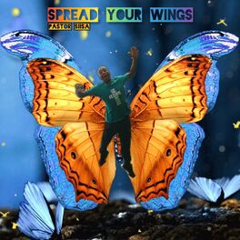 Album cover of Spread your wings