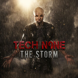 Album cover of The Storm