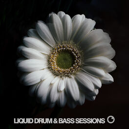 Album cover of Liquid Drum and Bass Sessions 2019 Vol 2