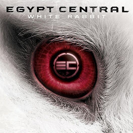 Album cover of White Rabbit