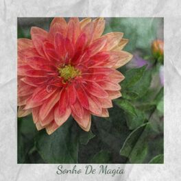 Album cover of Sonho De Magia