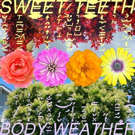 Album cover of Body Weather