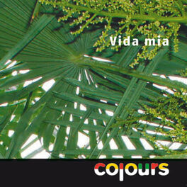 Album cover of Vida Mia