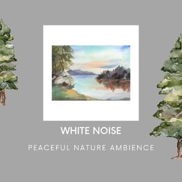 Album cover of Peaceful Nature Ambience: Forest Sounds and White Noise, Loopable