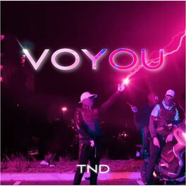 Album cover of Voyou
