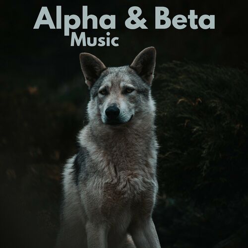 Relax α Wave - Alpha & Beta Music: lyrics and songs