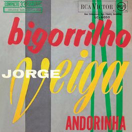 Album cover of Bigorrilho / Andorinha