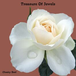Album cover of Treasure Of Jewels