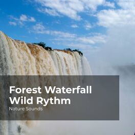 Album cover of Forest Waterfall Wild Rythm