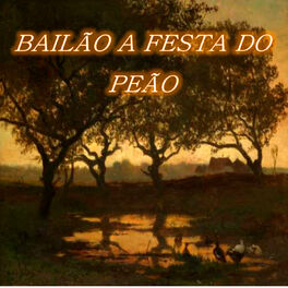 Album cover of Bailão a Festa do Peão