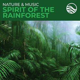 Album cover of Nature & Music: Spirit Of The Rainforest